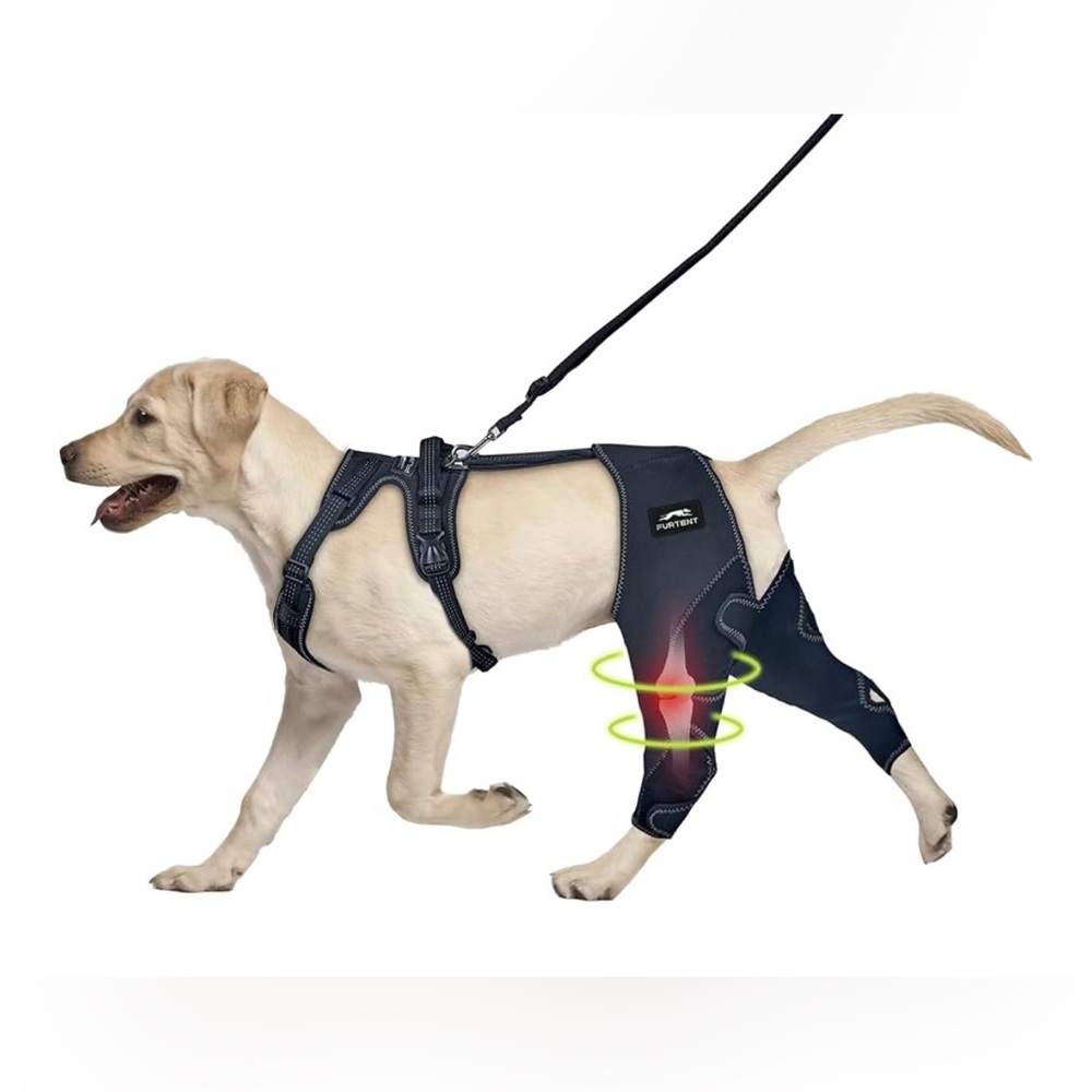 Keeps Joints Warm and Stable,  Adjustable Leg Support, Dogs Rear Leg Wrap
